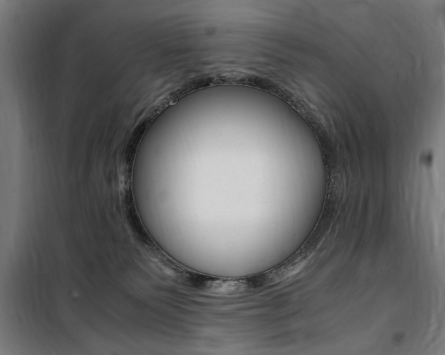 X0000100860135200806200847