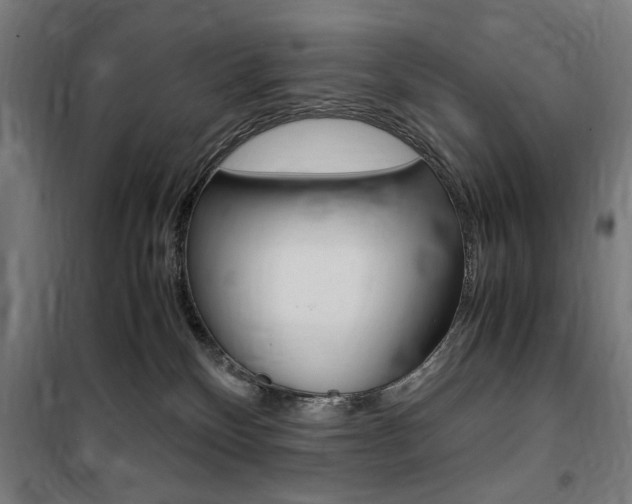 X0000100860136200806200847