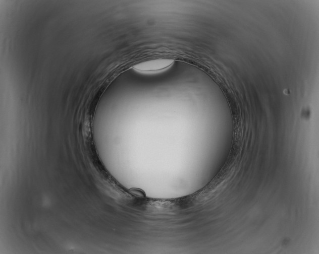 X0000100860137200806200847