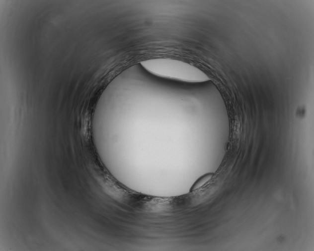 X0000100860138200806200847