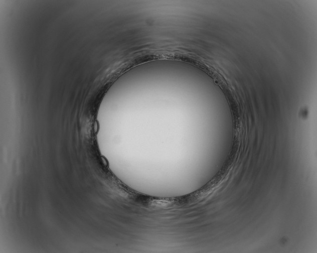 X0000100860139200806200847