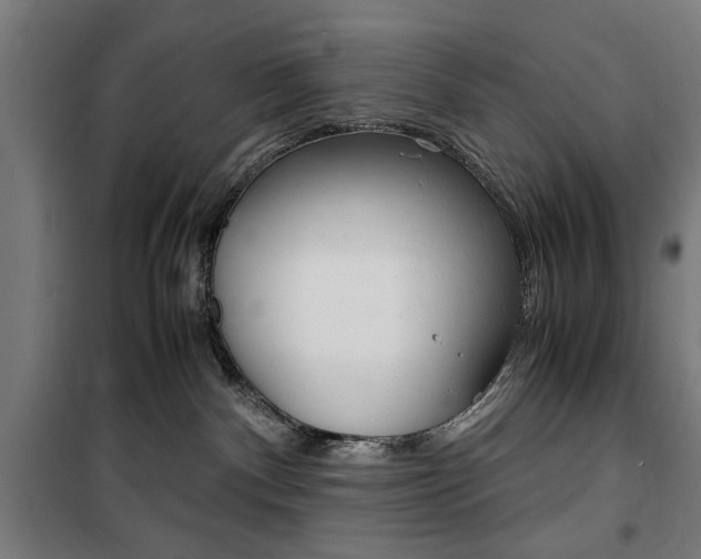 X0000100860140200806200847