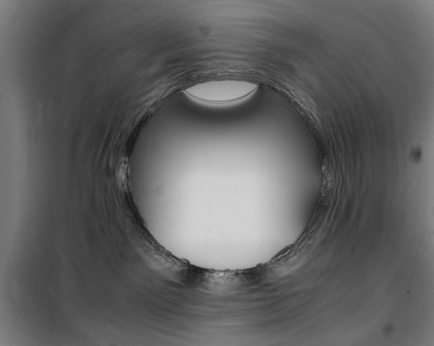 X0000100860141200806200847