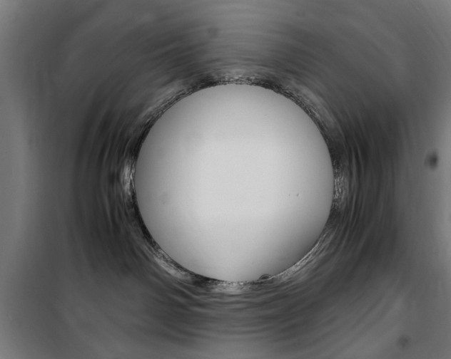 X0000100860142200806200847