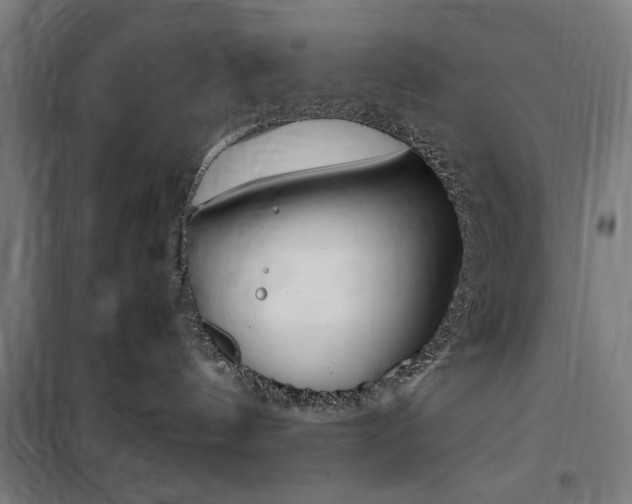 X0000100860144200806200847