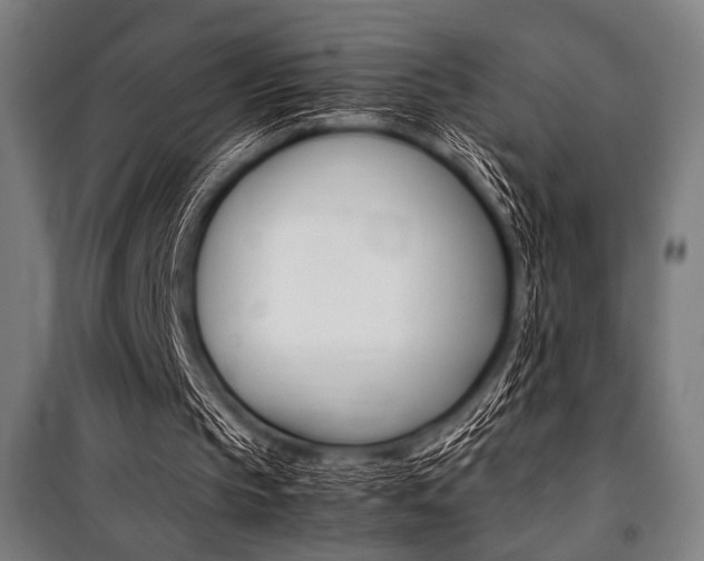 X0000100860145200806200846