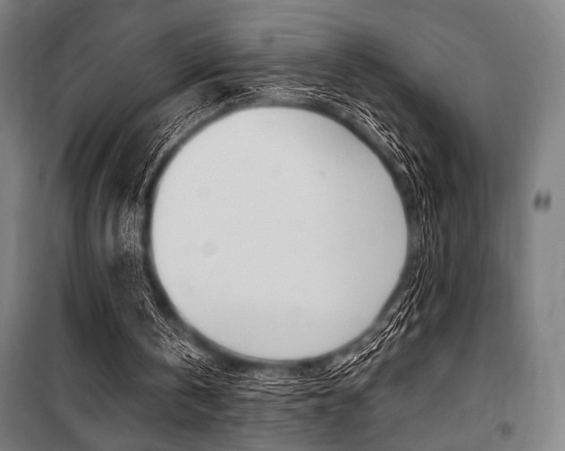 X0000100860146200806200846