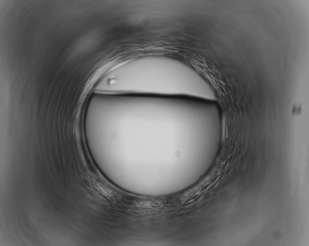 X0000100860147200806200846