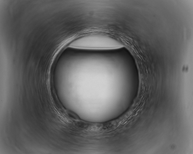 X0000100860148200806200846