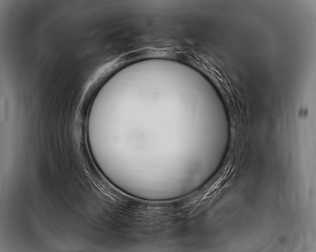 X0000100860149200806200846