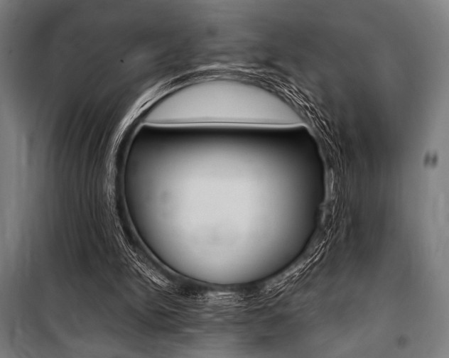 X0000100860150200806200846