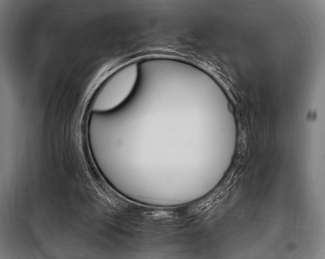 X0000100860151200806200847