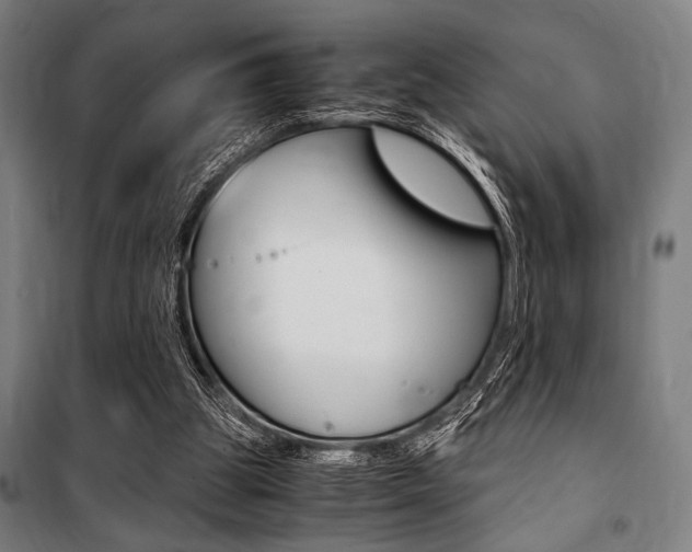 X0000100860153200806200847