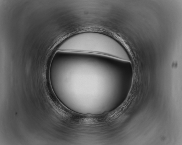 X0000100860154200806200847