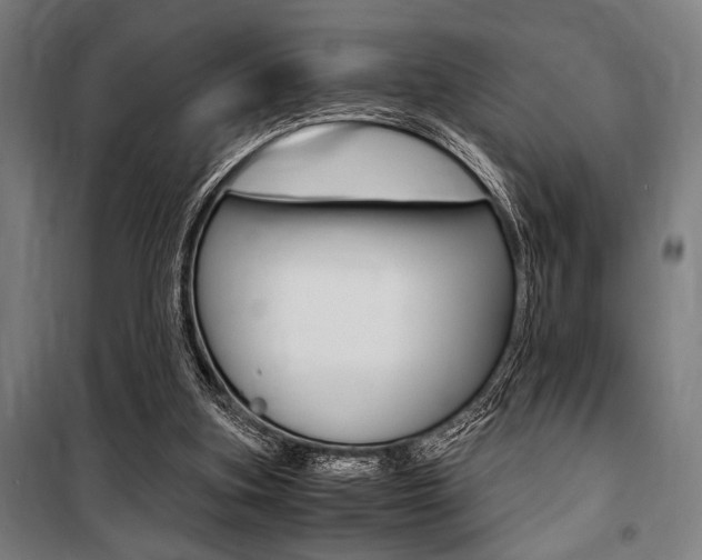 X0000100860155200806200847