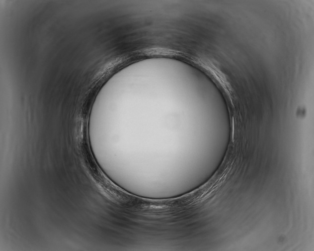 X0000100860157200806200847