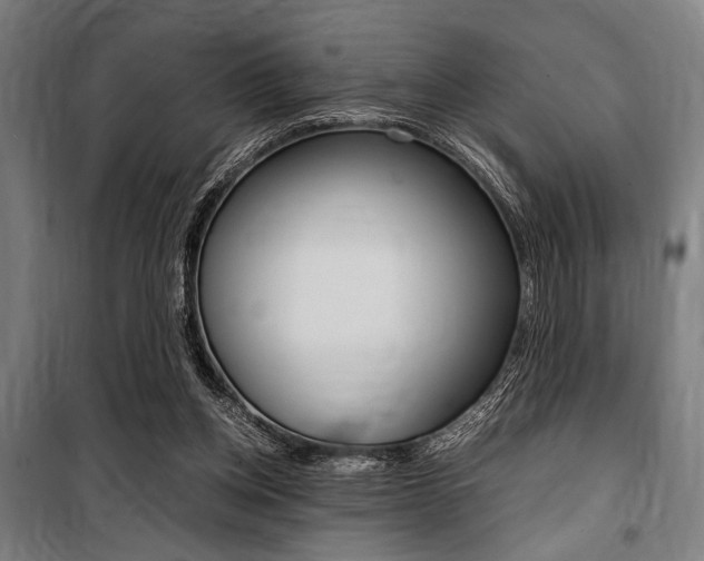 X0000100860158200806200847