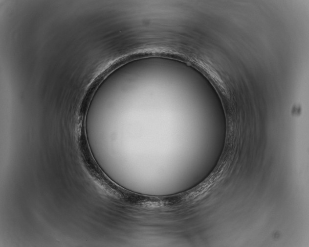 X0000100860160200806200847