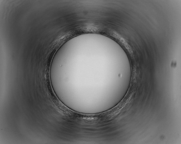 X0000100860161200806200847