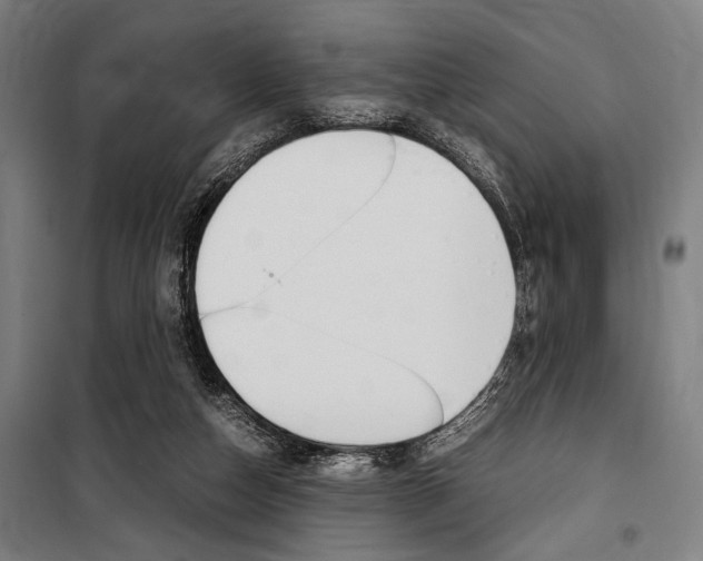 X0000100860162200806200847