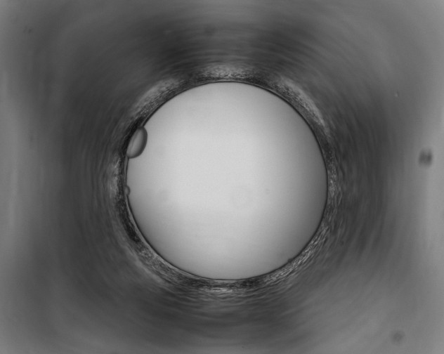 X0000100860163200806200847