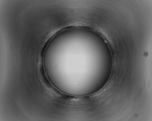 X0000100860164200806200847