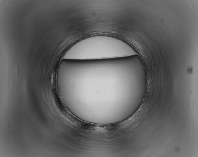 X0000100860166200806200847