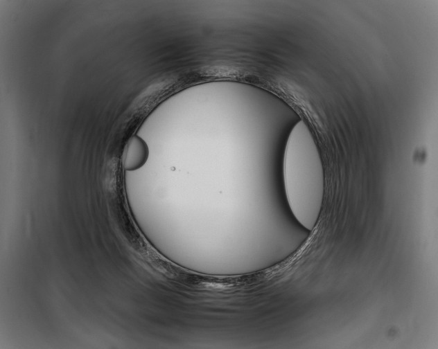 X0000100860167200806200847