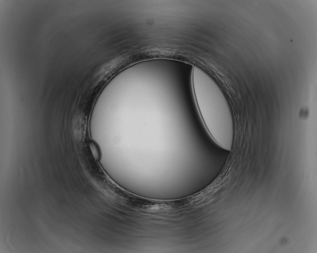 X0000100860168200806200847