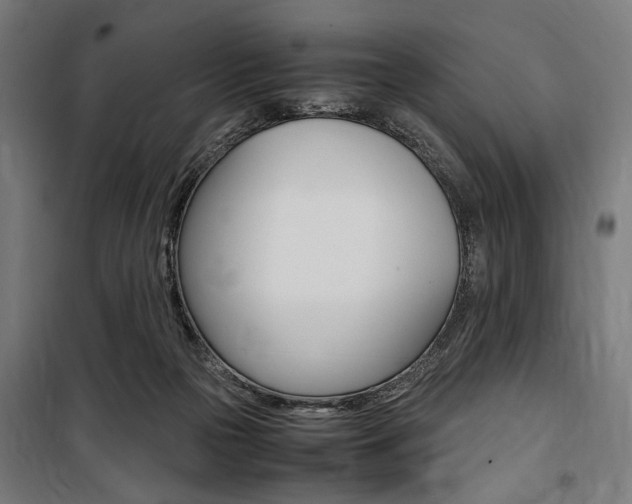 X0000100860169200806200847