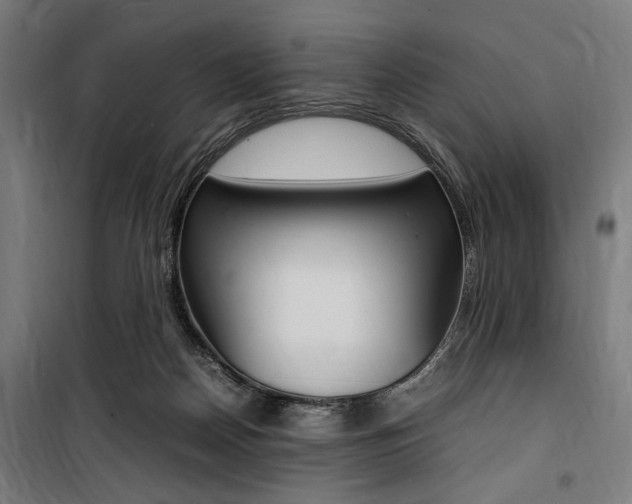 X0000100860170200806200847