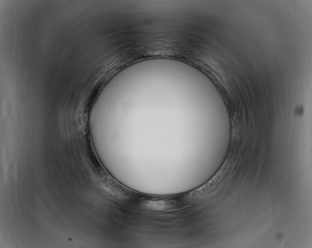 X0000100860171200806200847