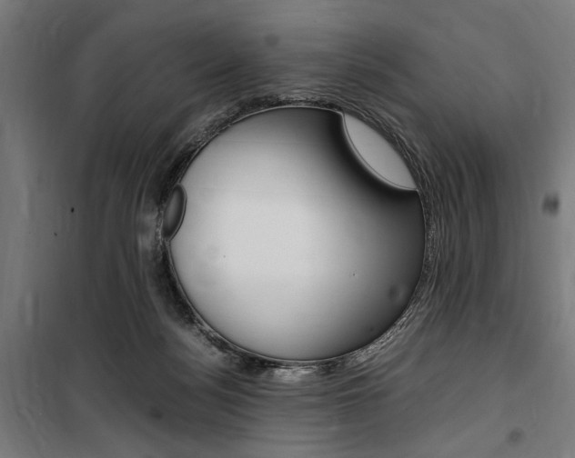 X0000100860172200806200847