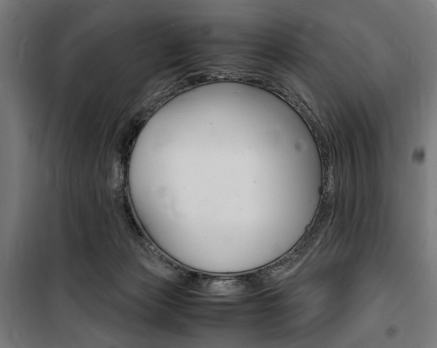 X0000100860173200806200847