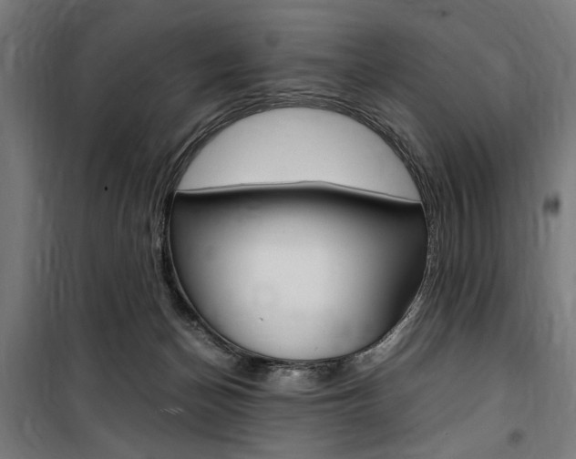 X0000100860174200806200847