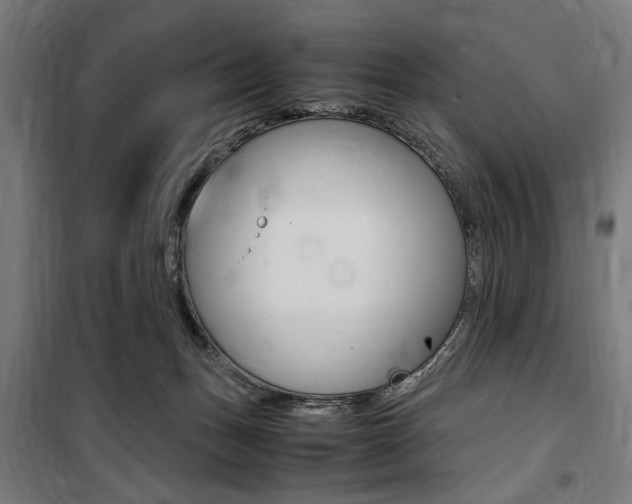 X0000100860175200806200847