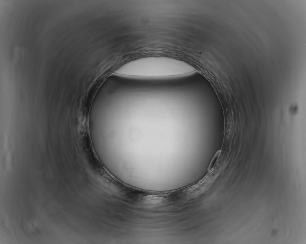 X0000100860176200806200847