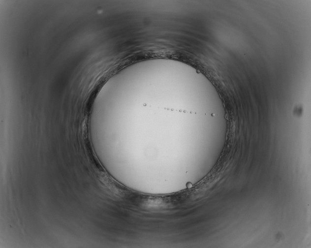 X0000100860177200806200847