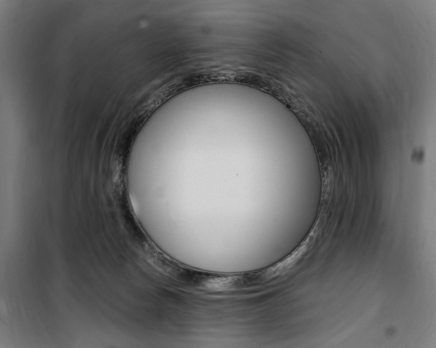 X0000100860178200806200847