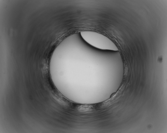 X0000100860179200806200847