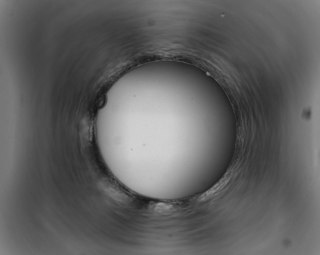 X0000100860180200806200847