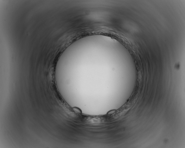 X0000100860181200806200847