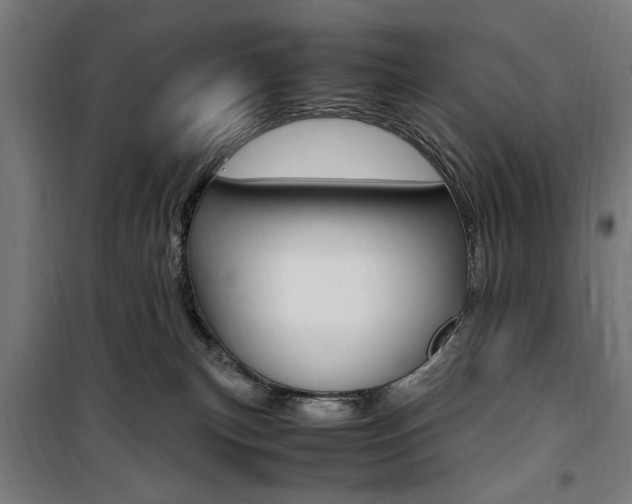 X0000100860183200806200847