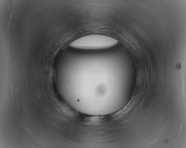 X0000100860184200806200847