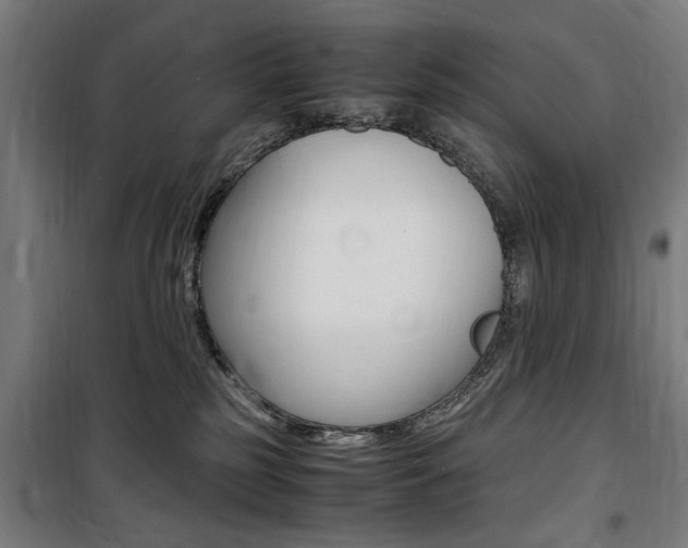 X0000100860185200806200847