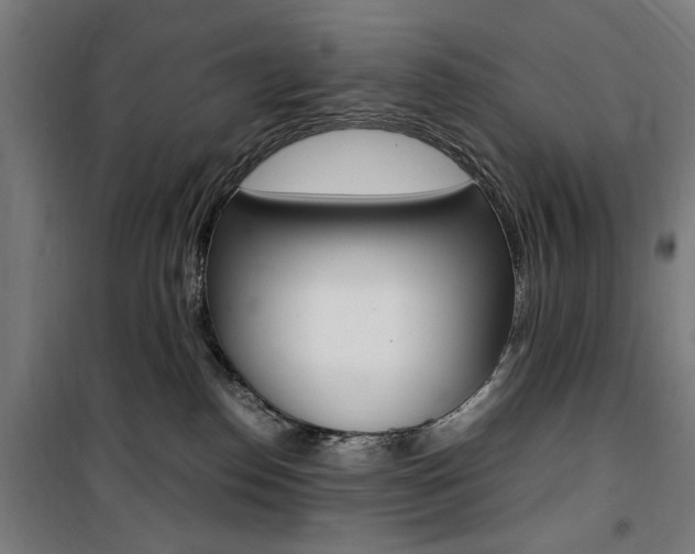 X0000100860186200806200847