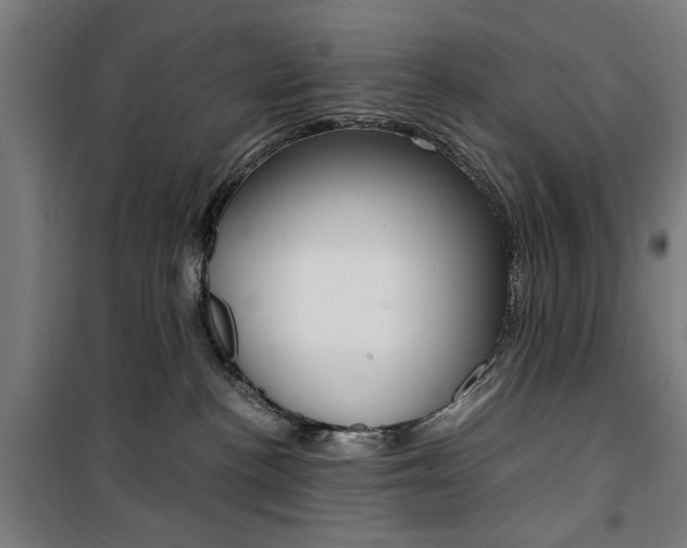 X0000100860188200806200847