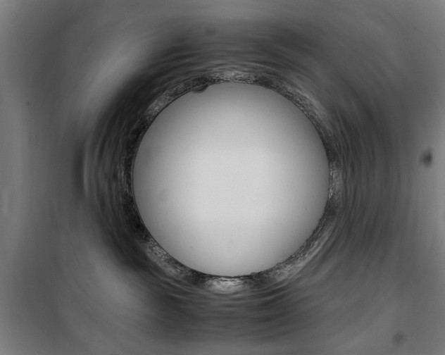 X0000100860189200806200847