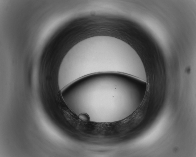 X0000100860190200806200847