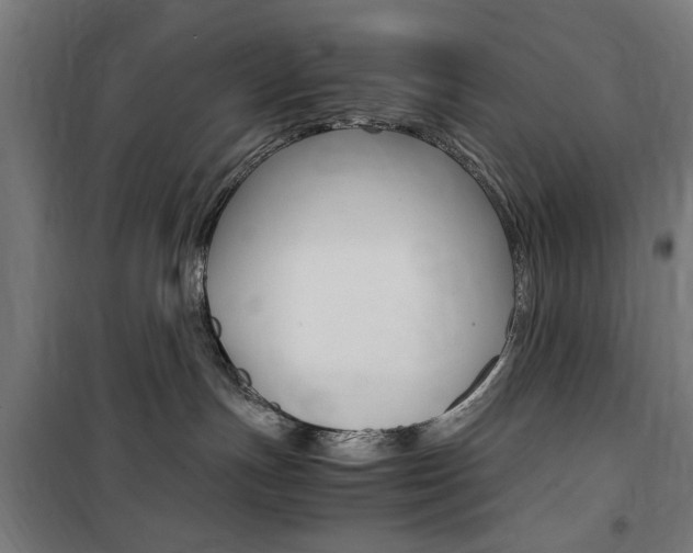 X0000100860191200806200847